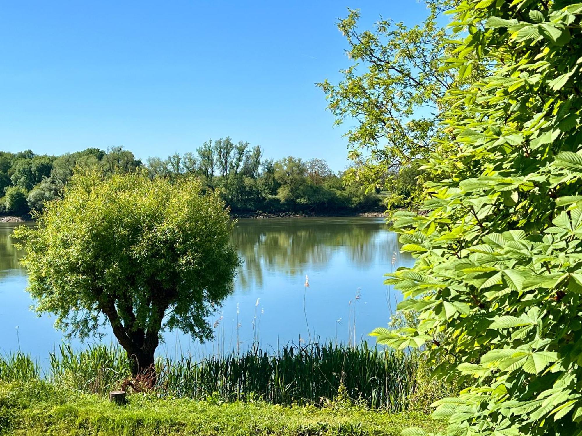 La Villa Du Fleuve Quinsac  المظهر الخارجي الصورة